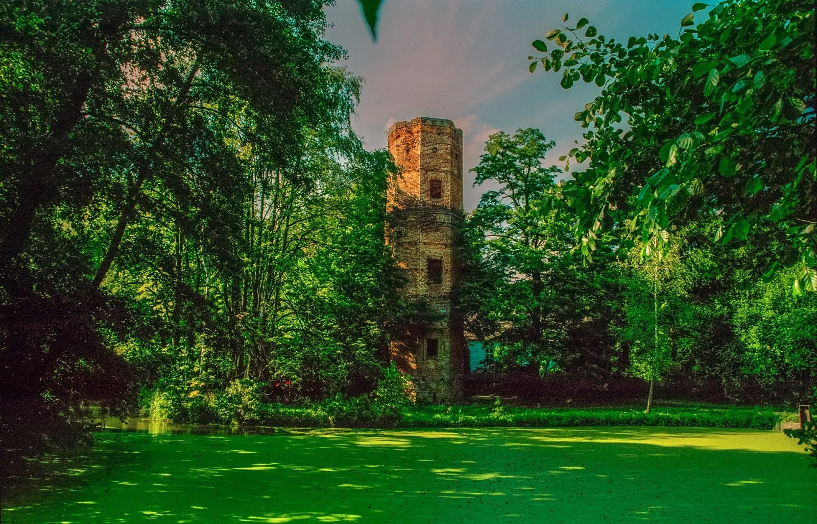 Fosy i obwarowania, Wyszyna