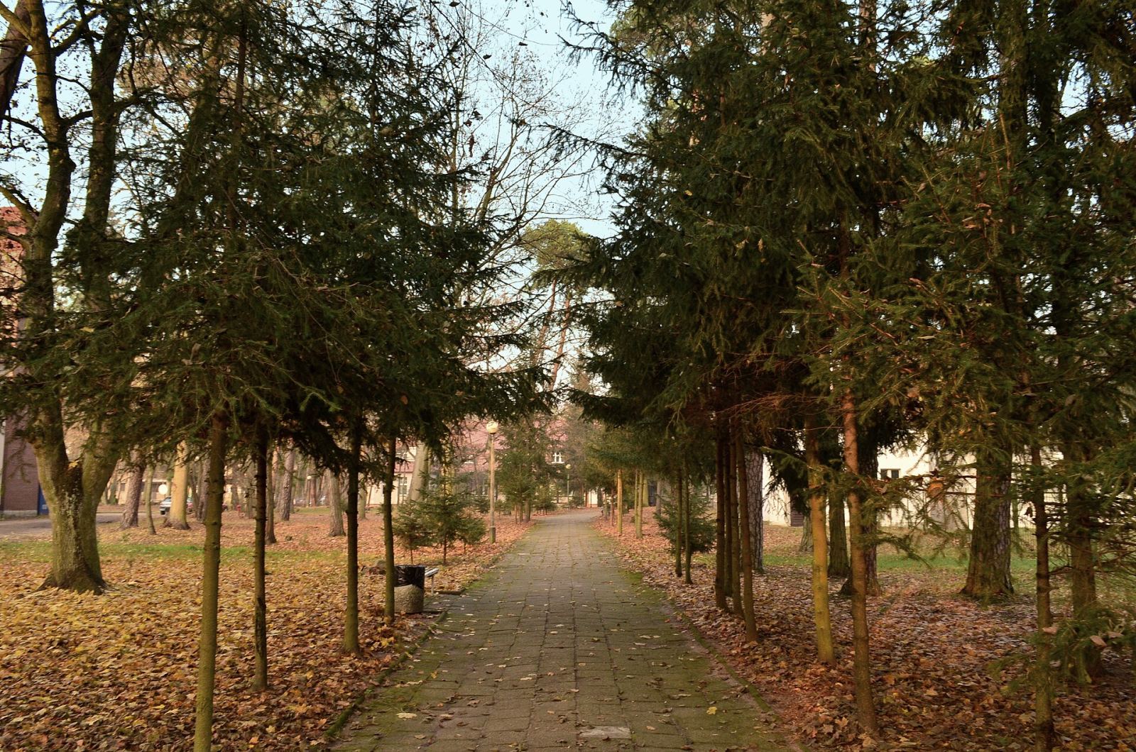 Park szpitalny, Kowanówko