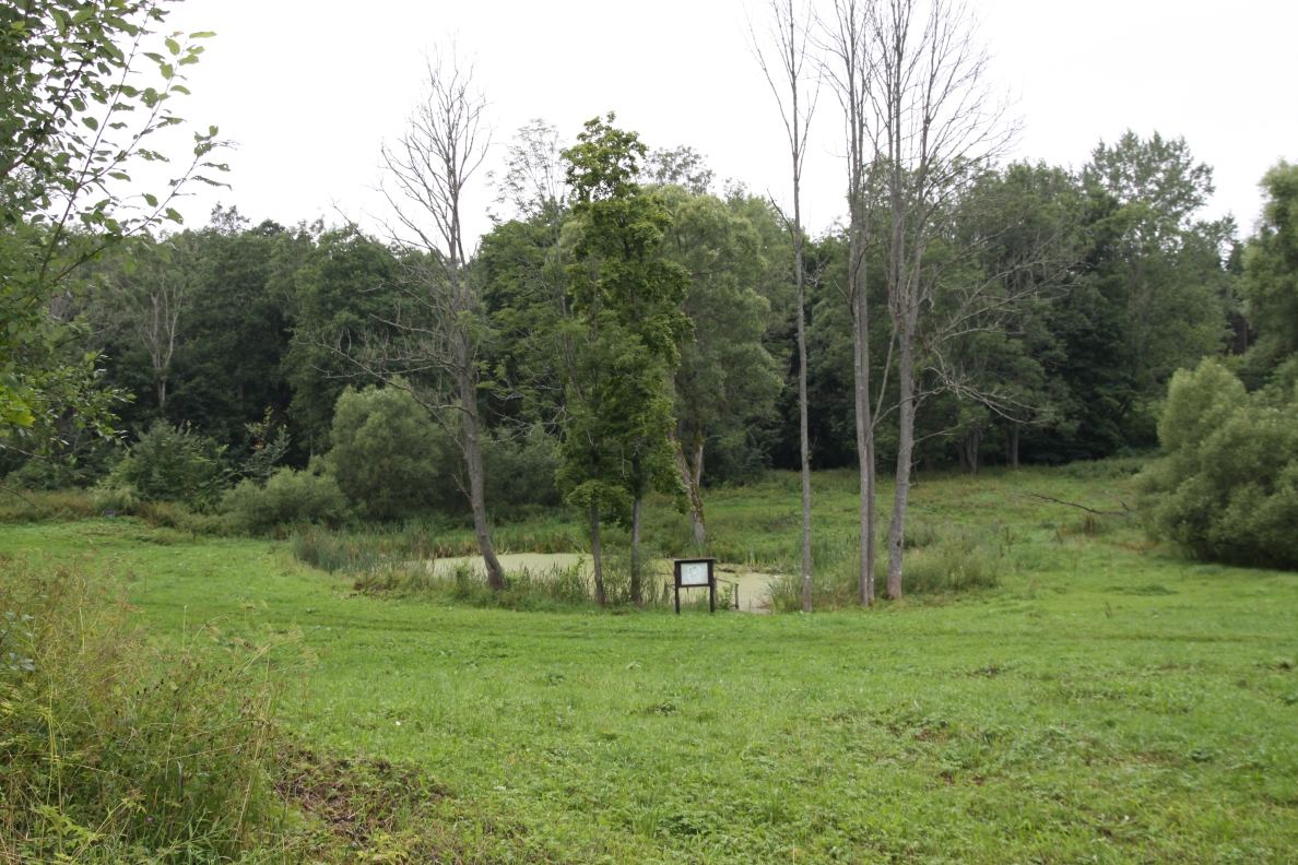 Park dworski, Stara Hańcza