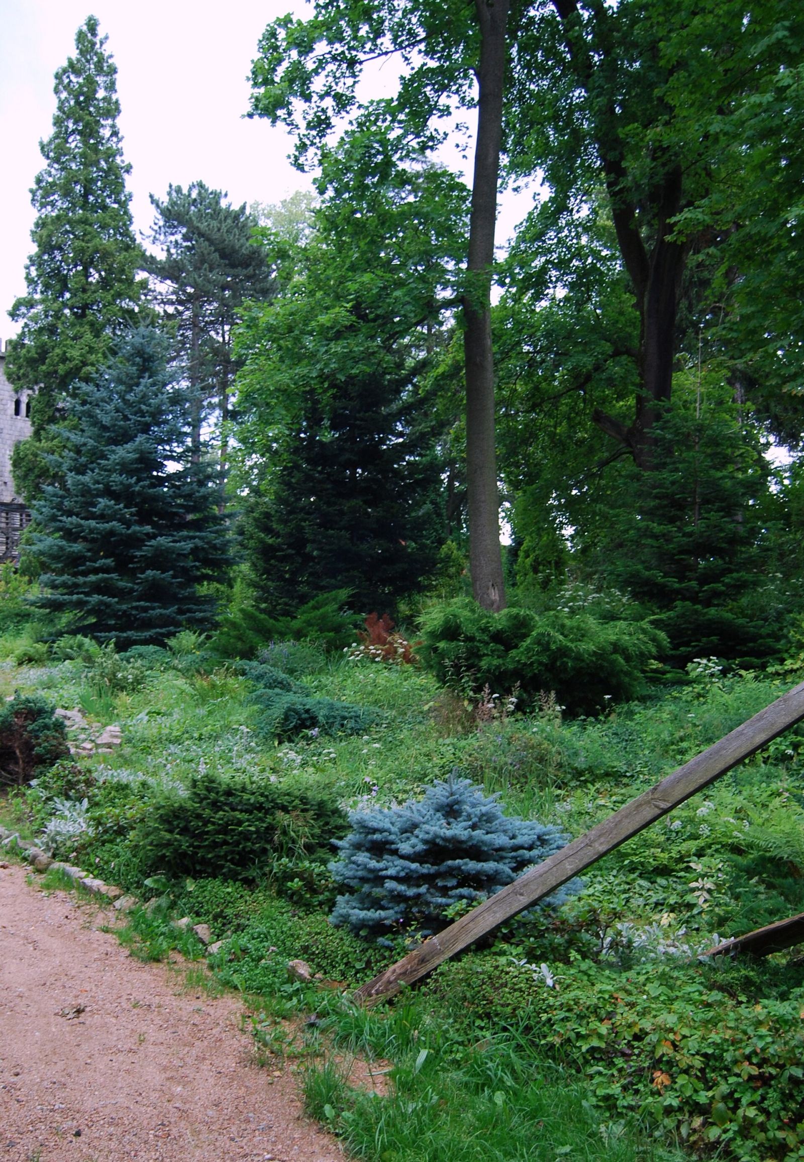 Park, Bobrów
