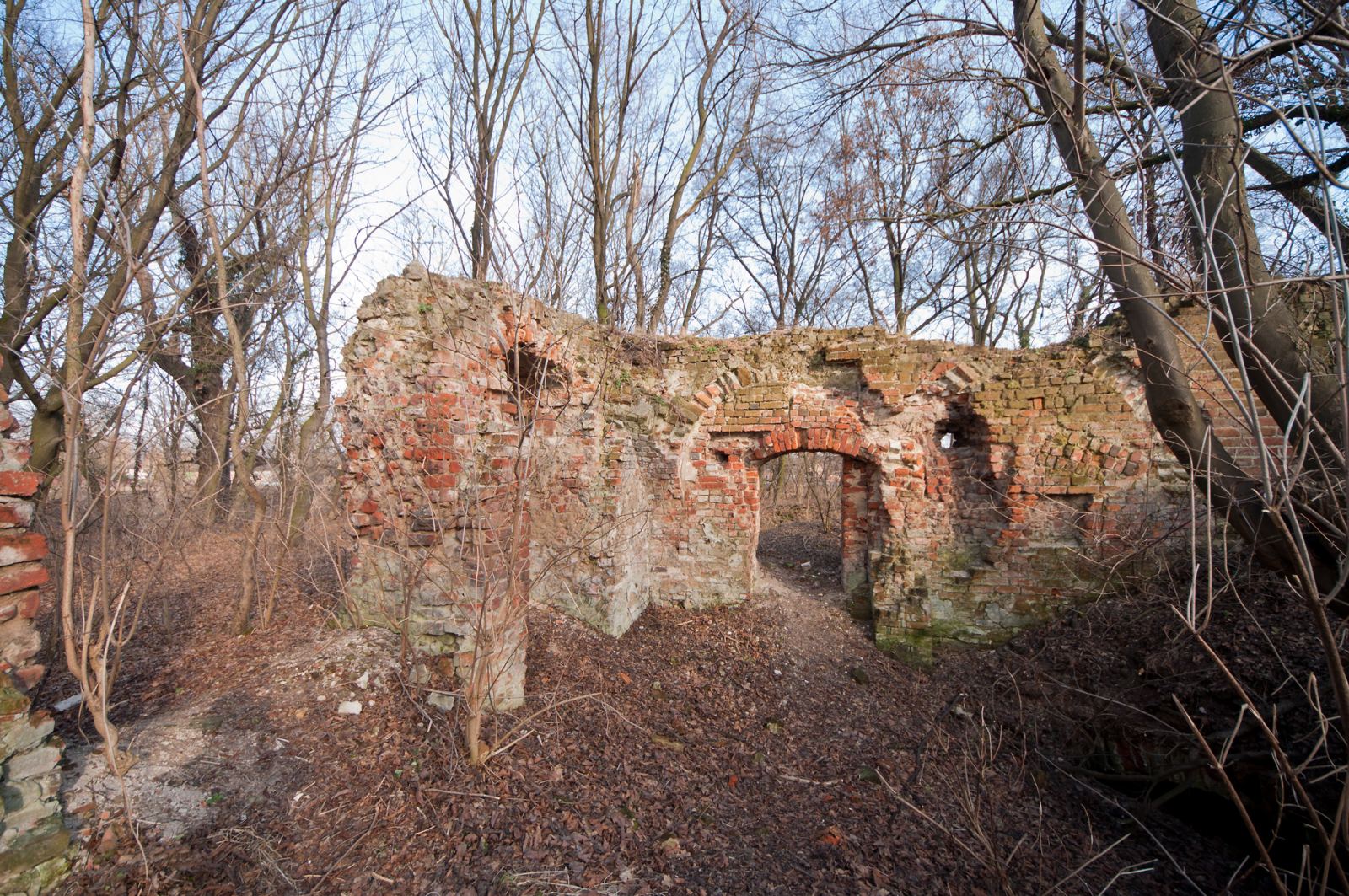 Ruina zamku, Jelcz-Laskowice