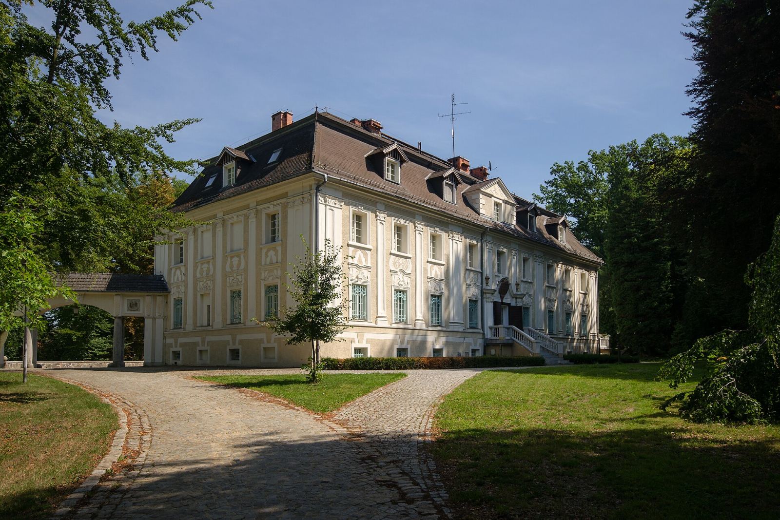 D. zespół pałacowy, Bagno