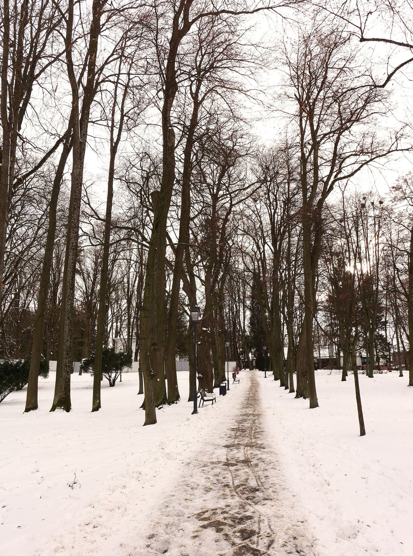 Park, Nałęczów