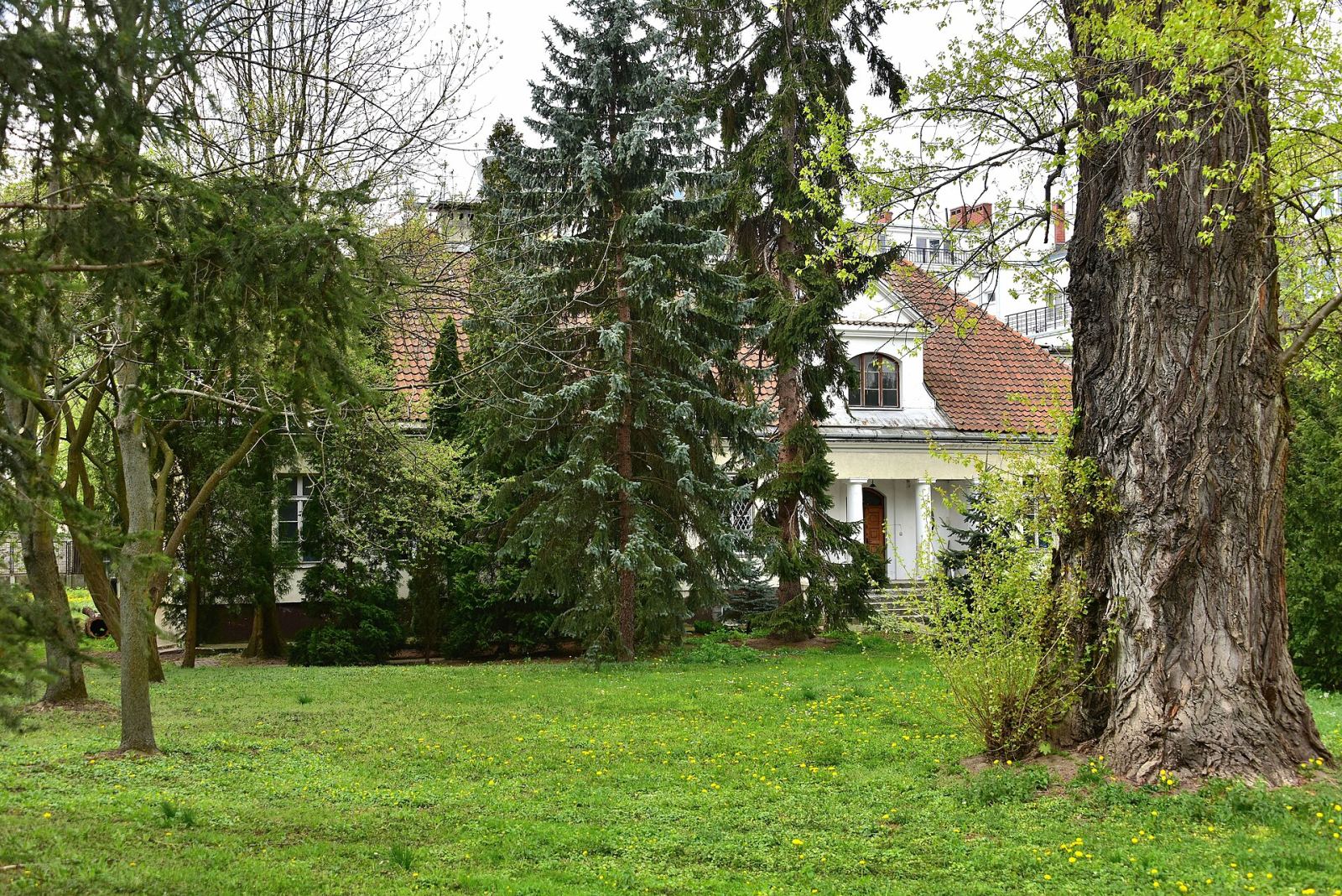 Otoczenie, Warszawa