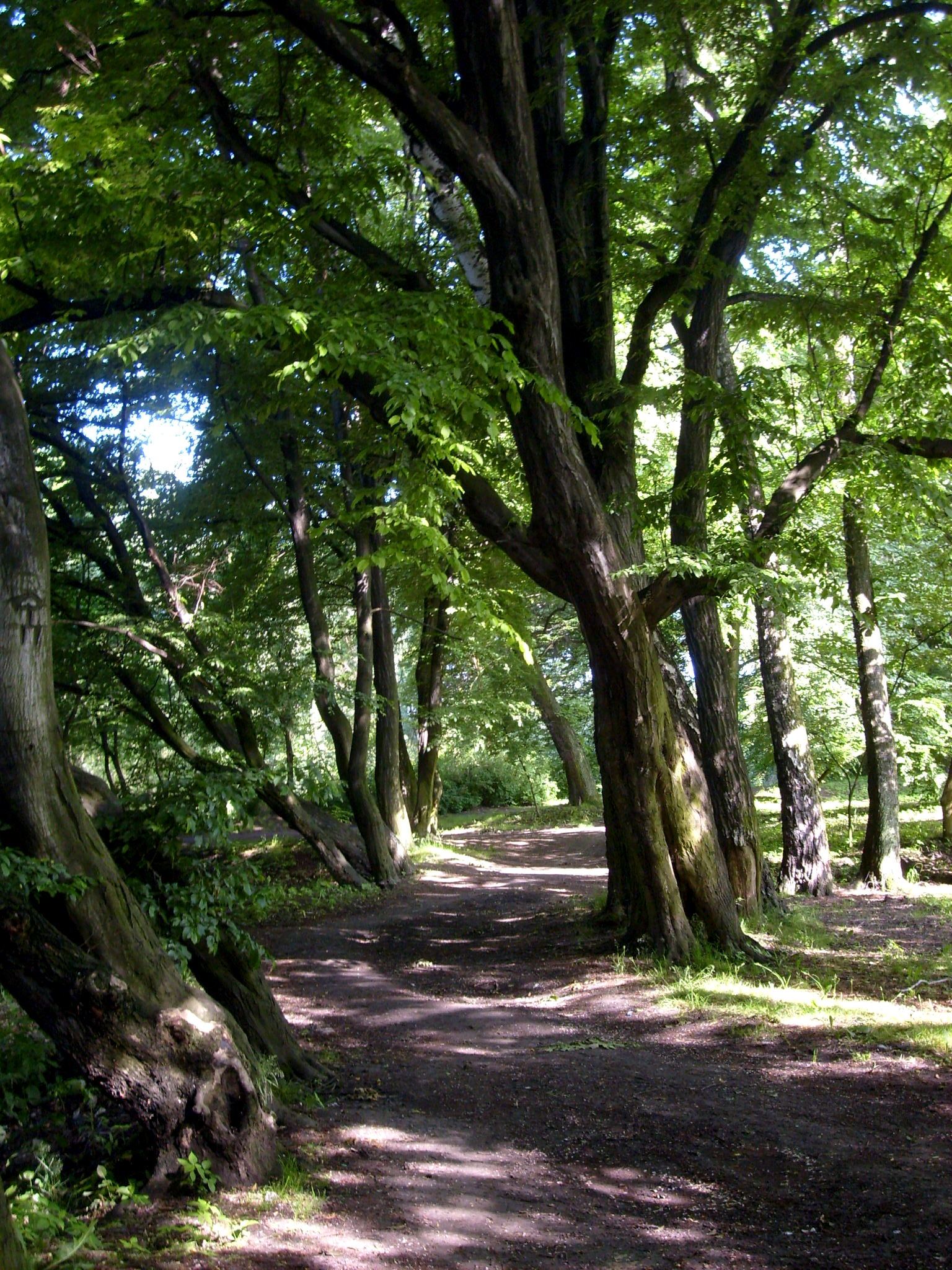 Park w Łuczanowicach, Kraków
