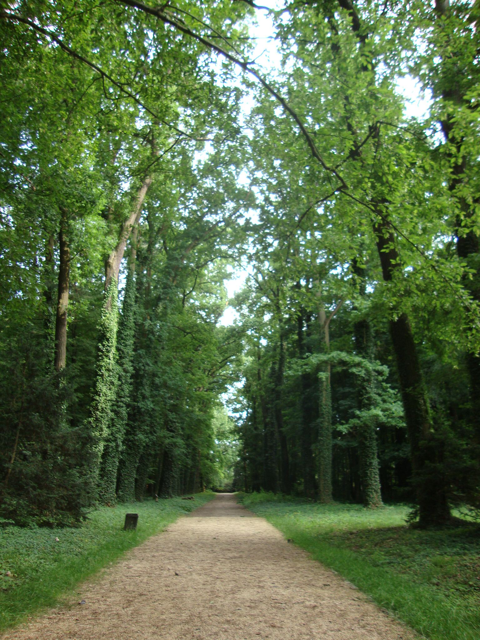 Park, Kórnik