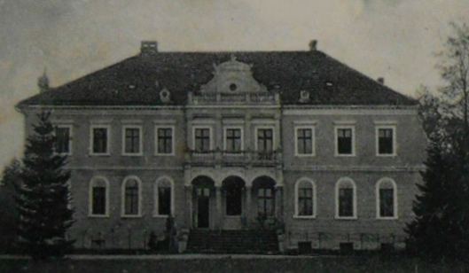 Pałac, Olszyna