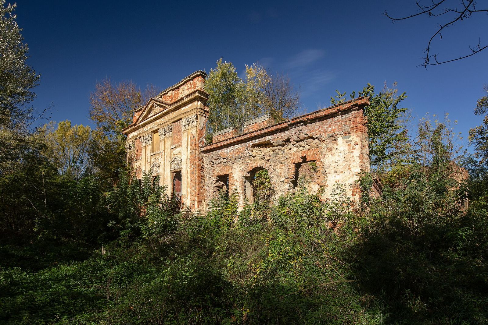 Pałac, Siedlce