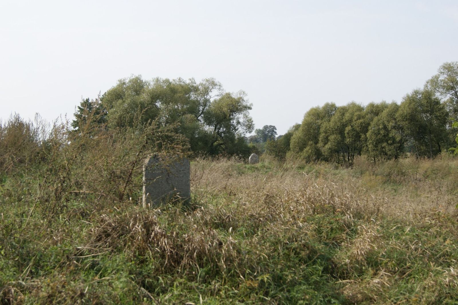 Cmentarz żydowski, tzw. Góra, Biskupice