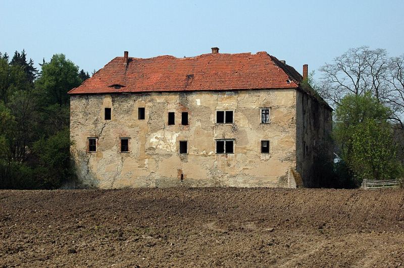 Zamek, Nieszkowice