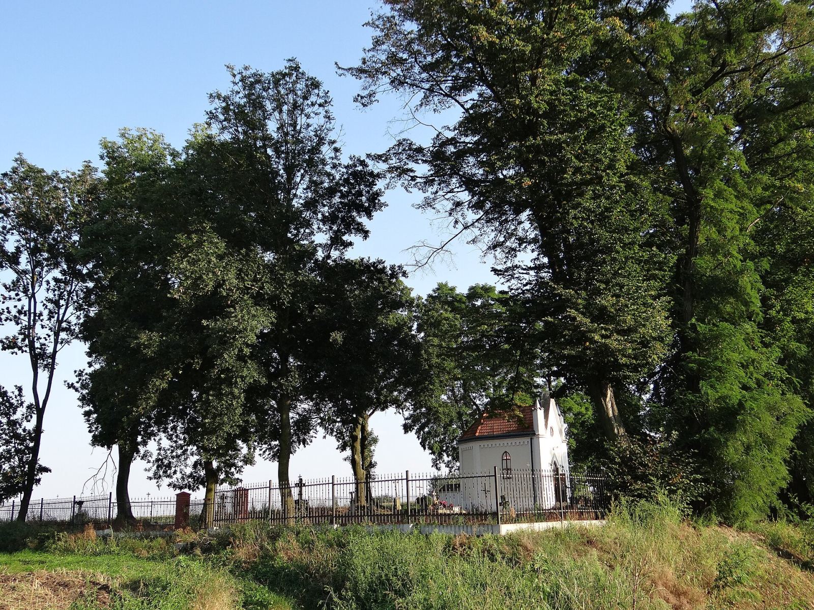 Stary cmentarz rzymskokatolicki, Ostrów