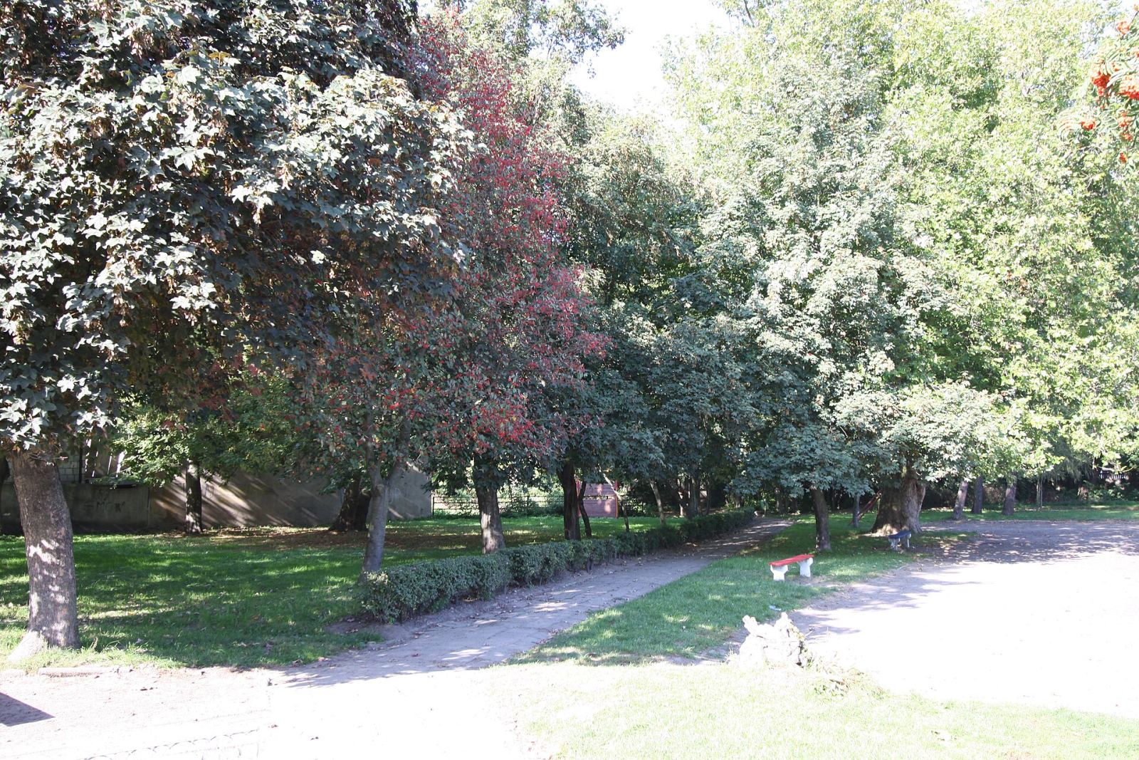 Park pałacowy, krajobrazowy, Rudniki