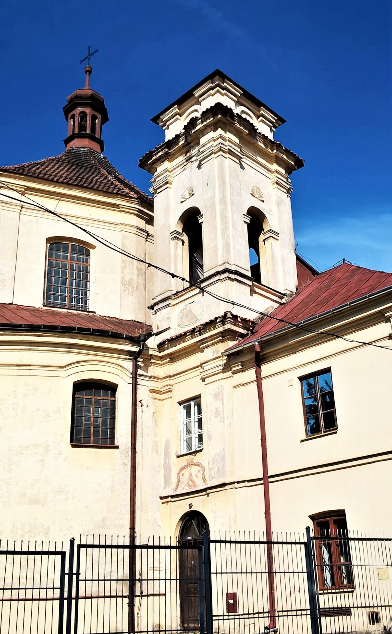 Drzewostan, Lublin