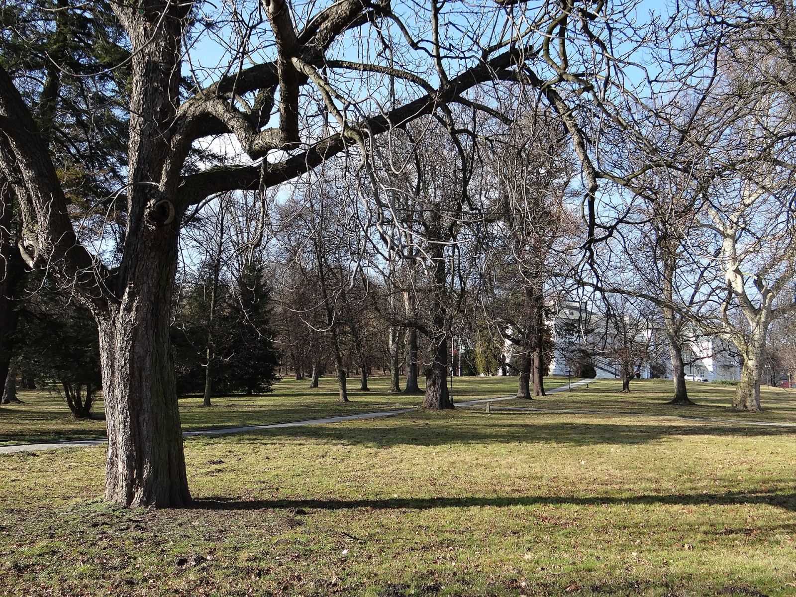 Park, Balice