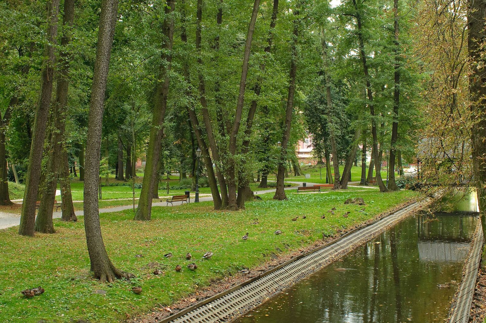 Park, Żyrardów
