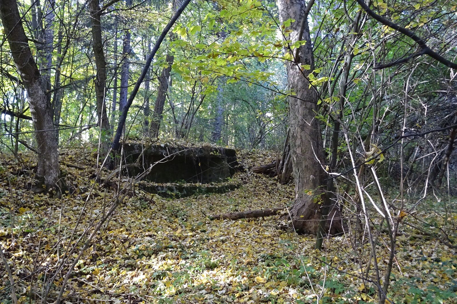 Fort VIb Lipnik, Przemyśl