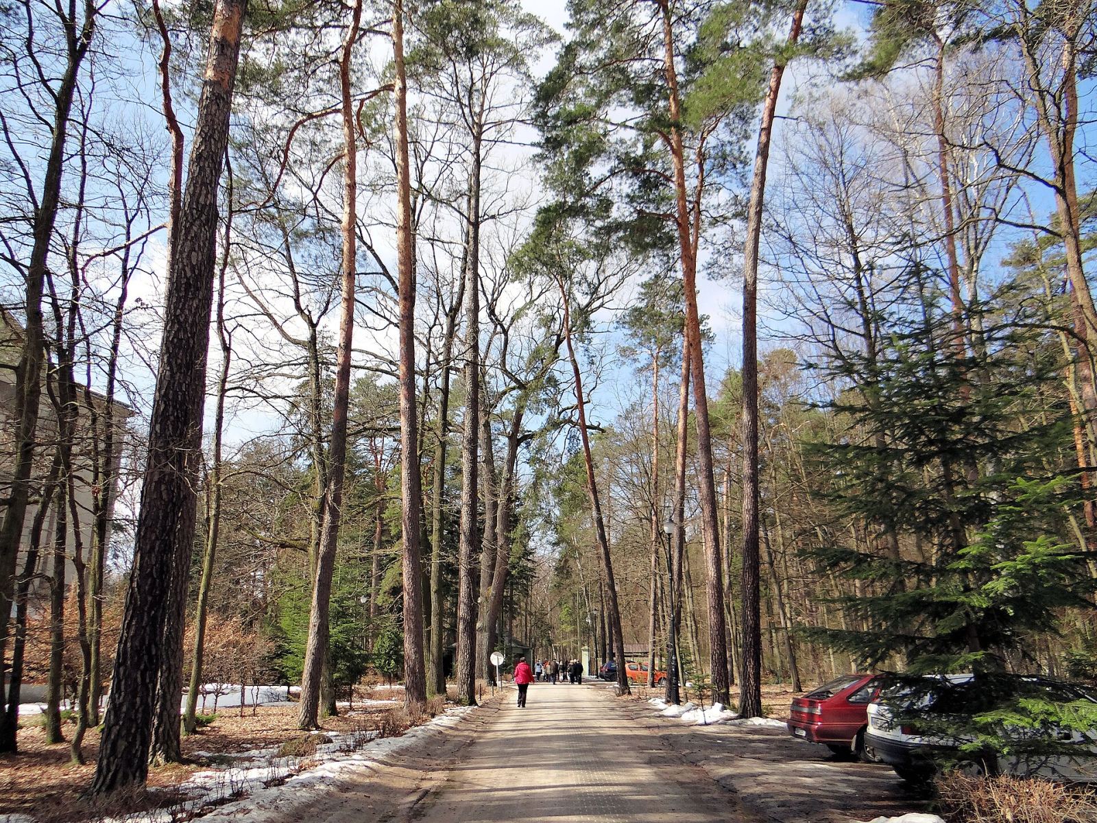 Park, Rudka