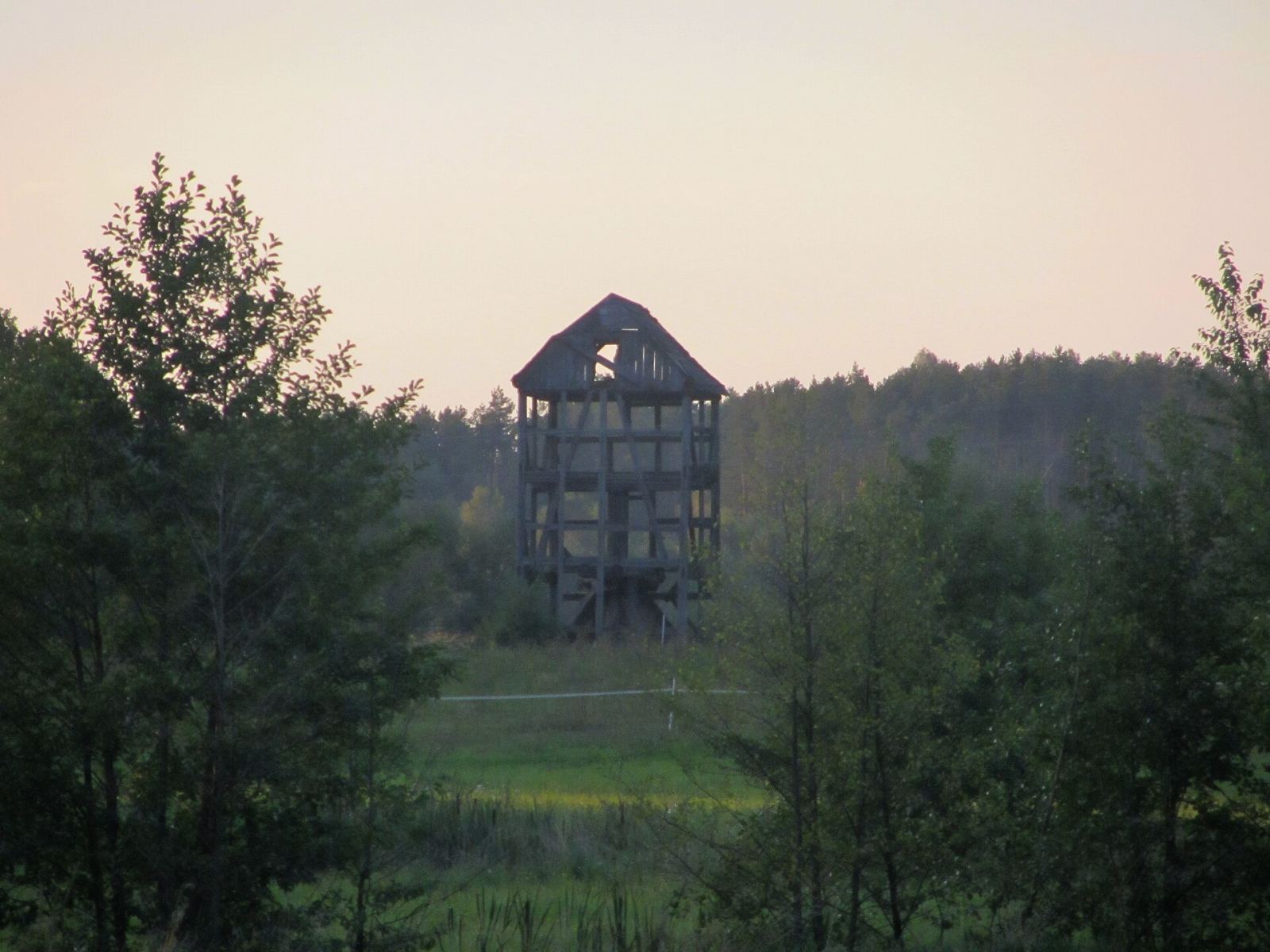 Wiatrak koźlak, Bogdanki