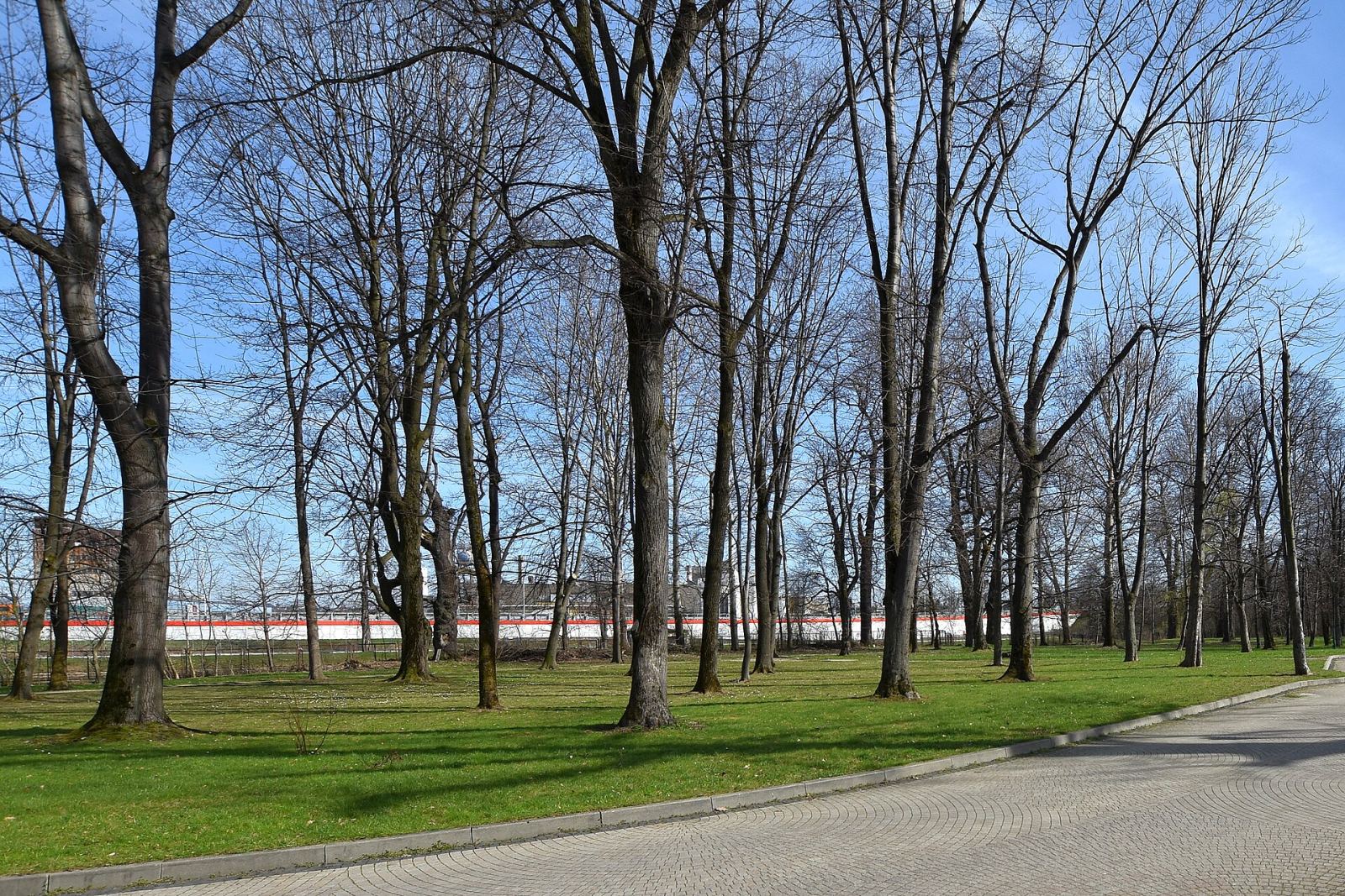 Park, Krosno