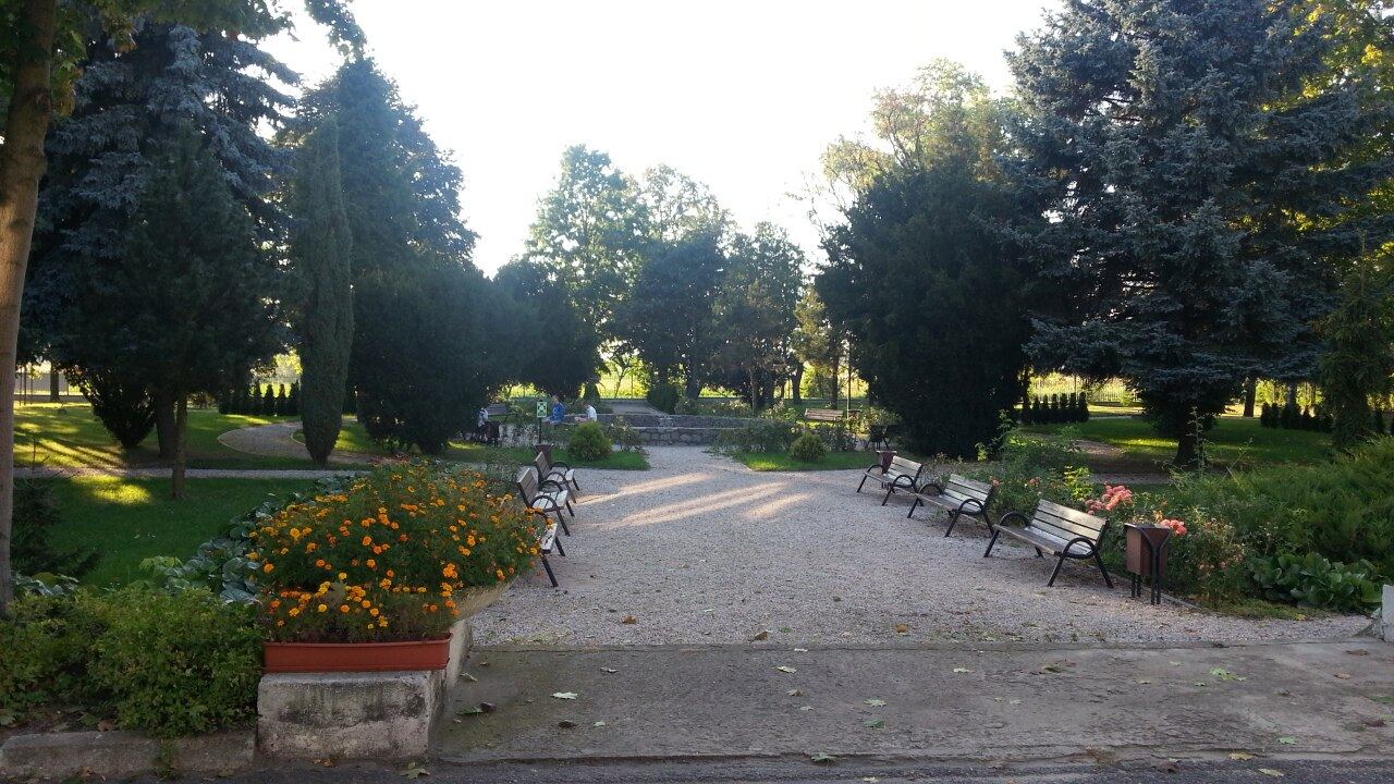 Ogród, Nowe Trzepowo