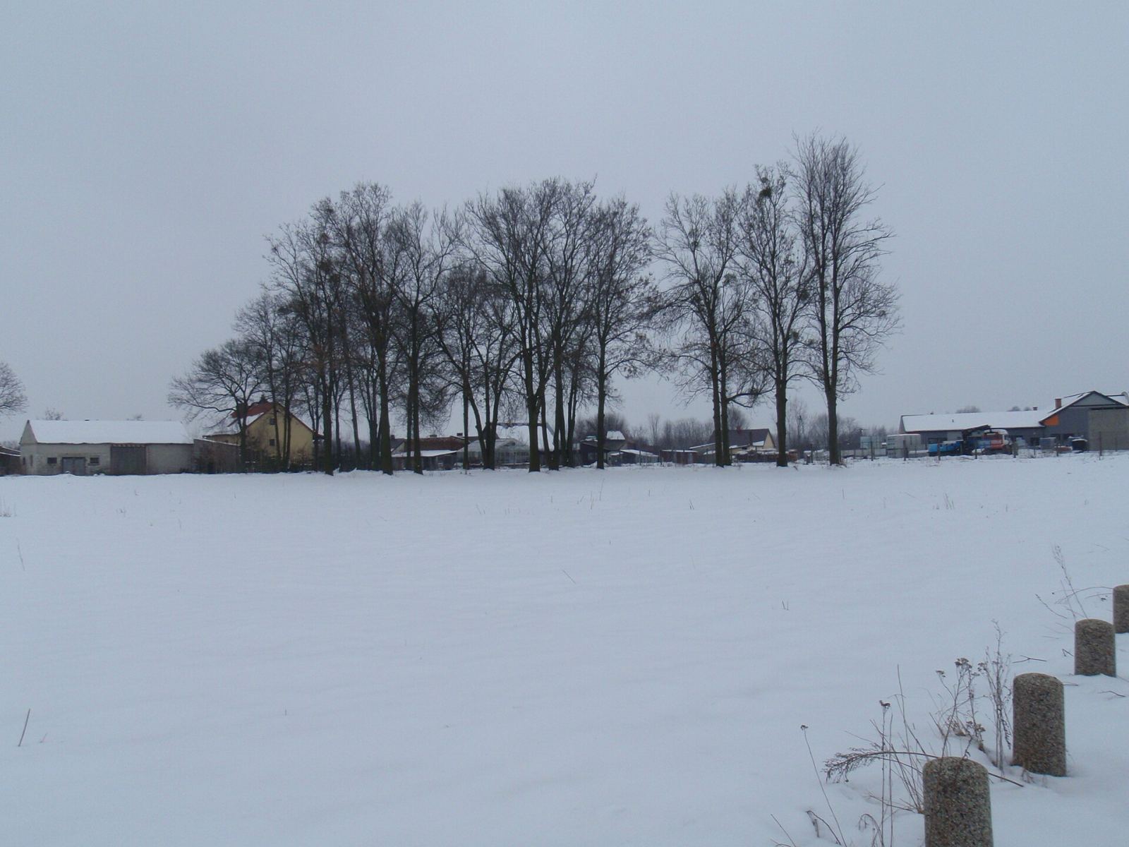 Cmentarz żydowski, Kurów