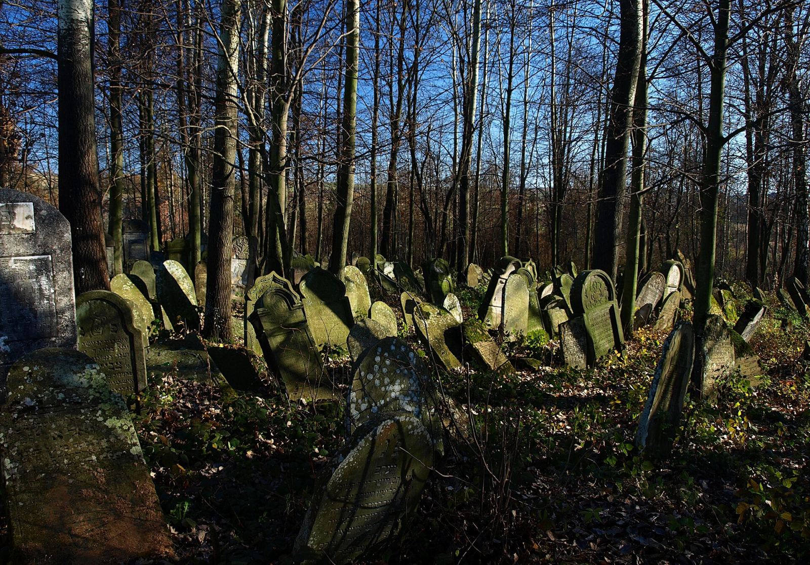 Cmentarz żydowski, Korczyna