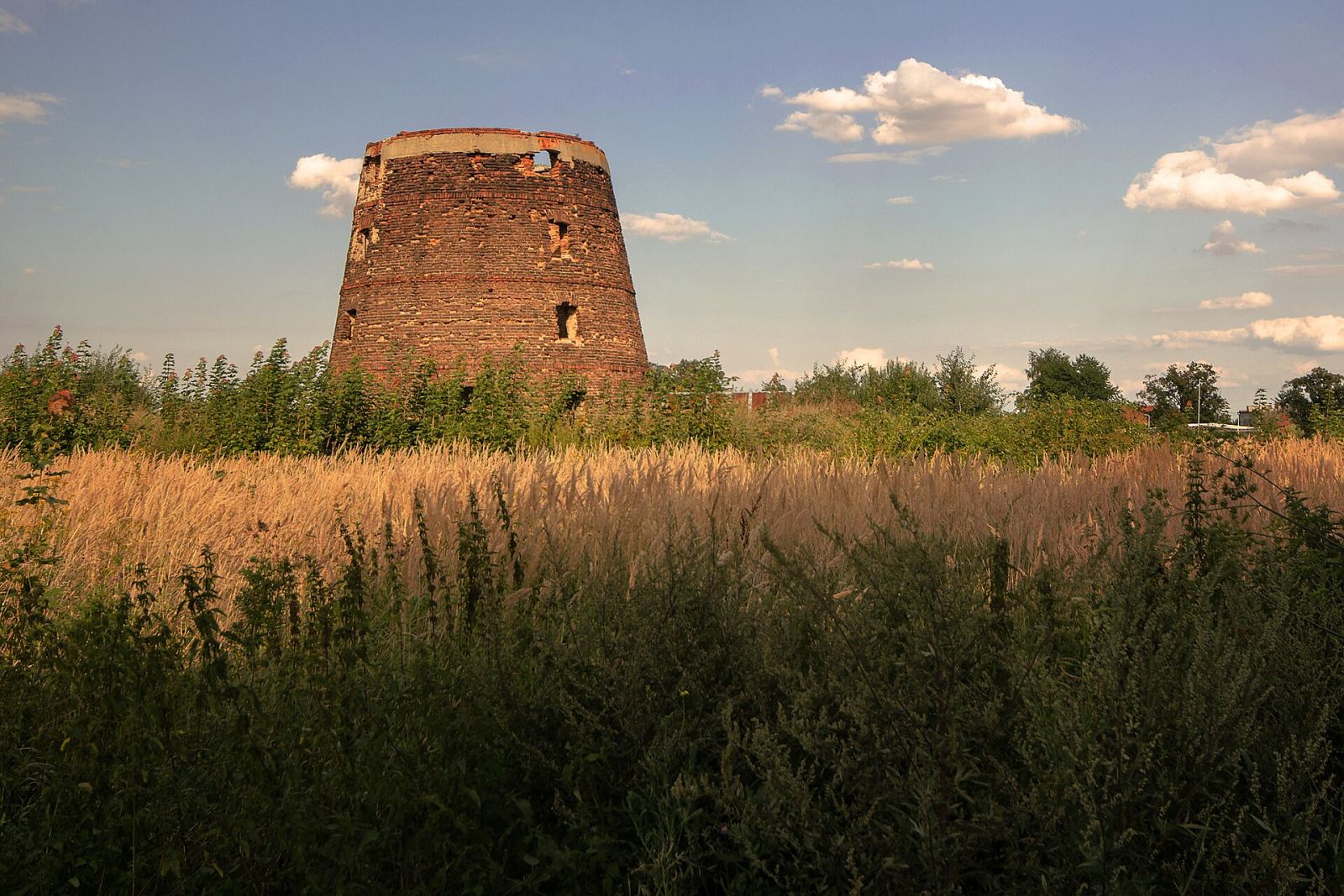Wiatrak holender, Owczary