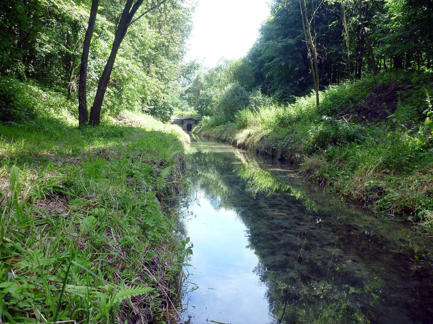 Otoczenie, Ptakowice