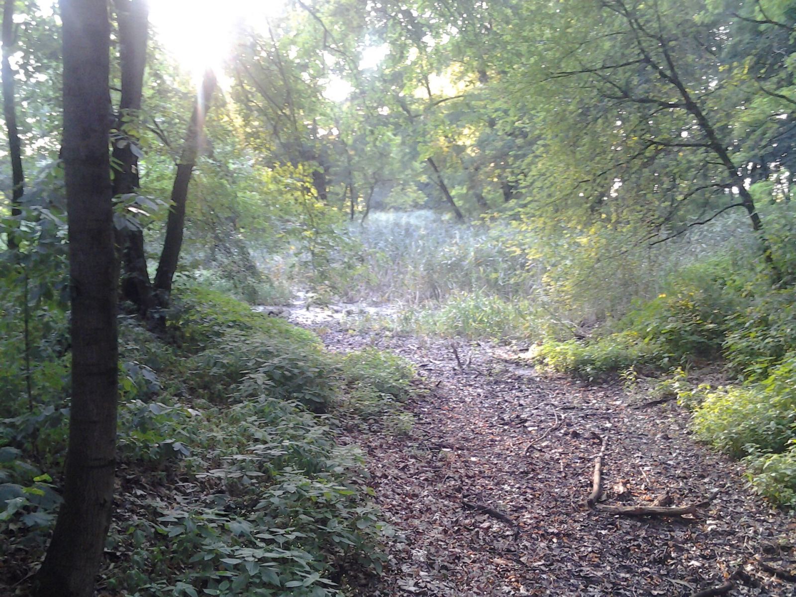 Park, Komorno