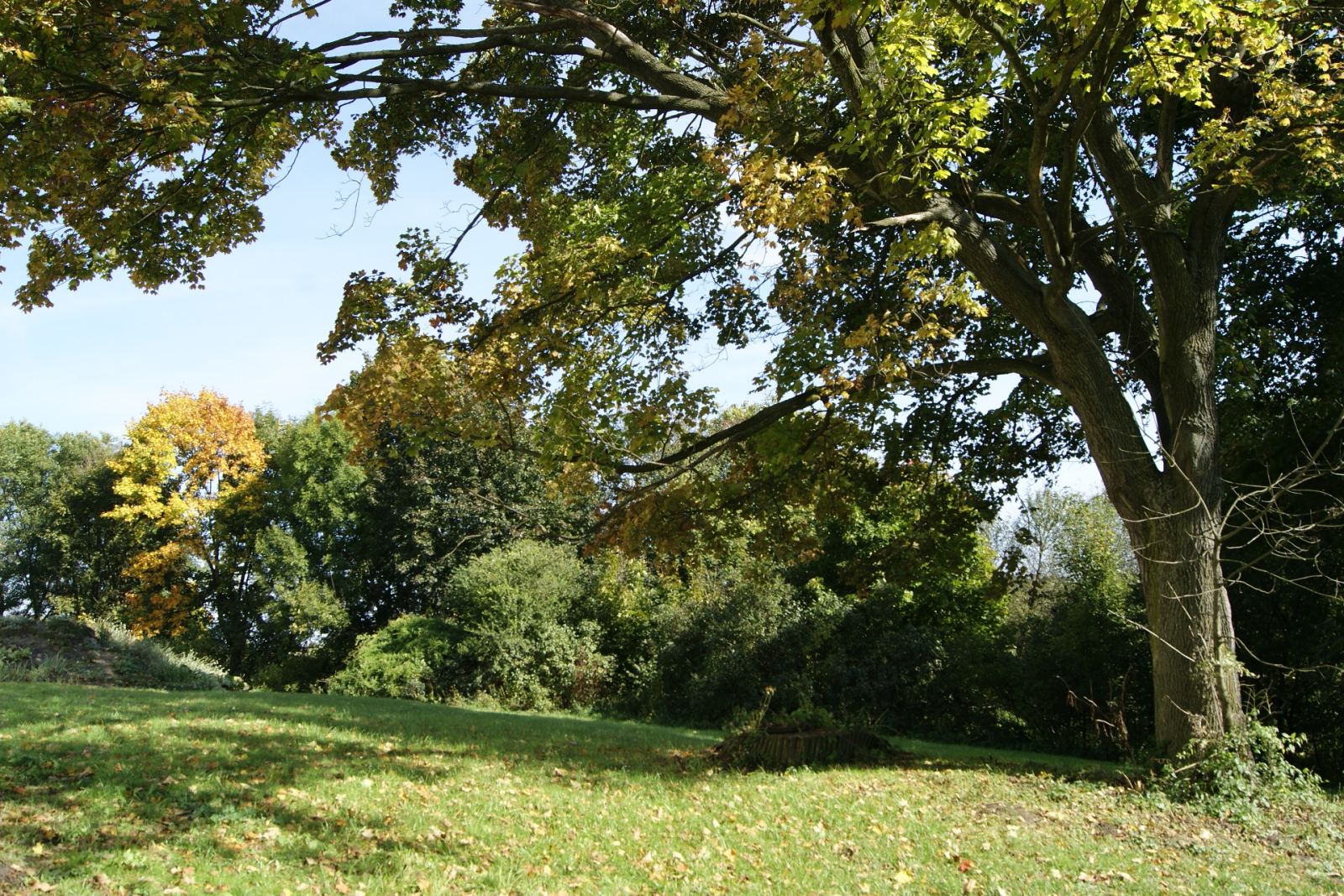 Park, Bystrzyca