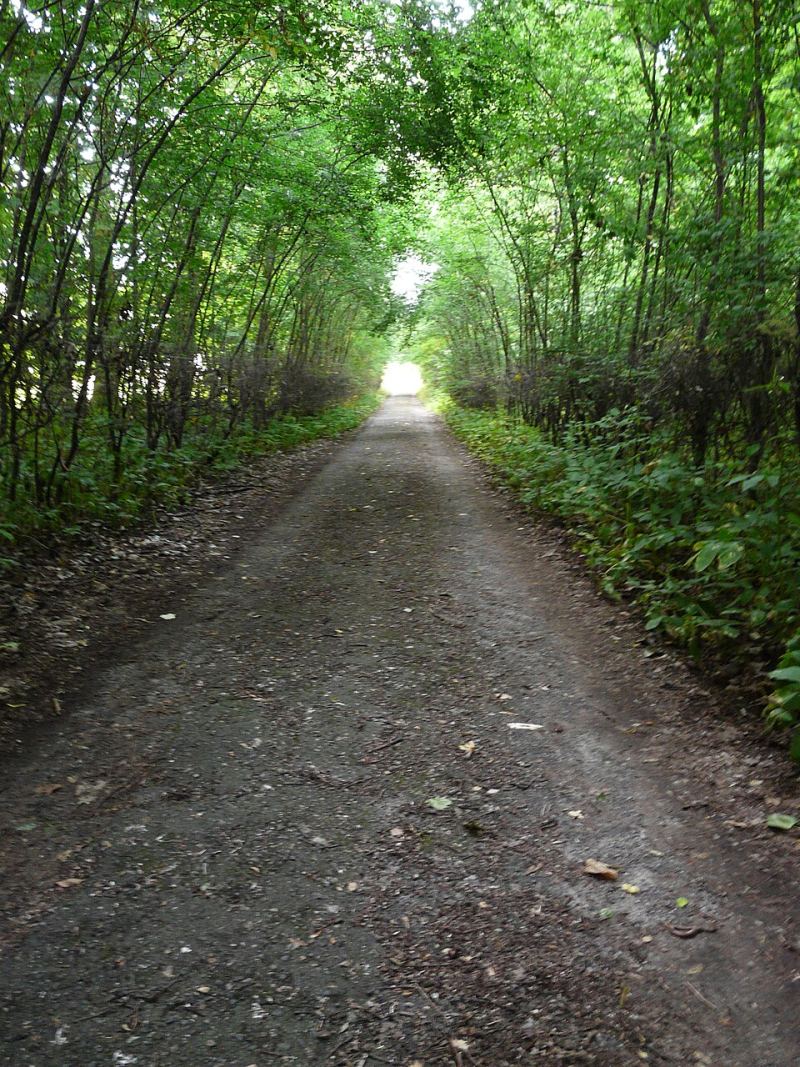 Park, Sufczyn