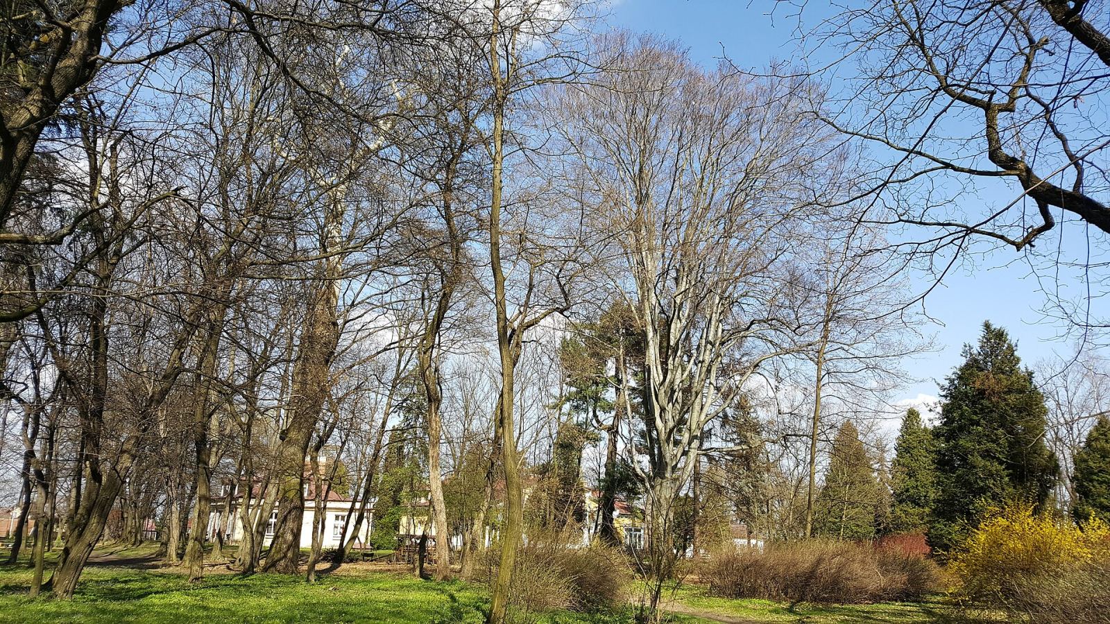 Park, Zbylitowska Góra