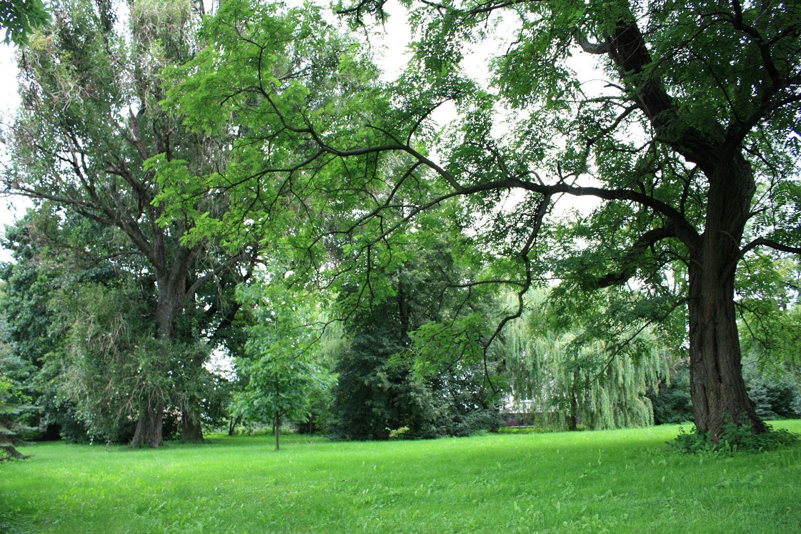 Park, Sobota
