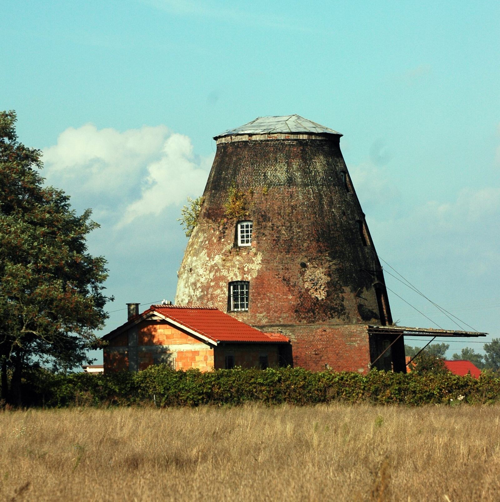 Wiatrak holender, Wolin