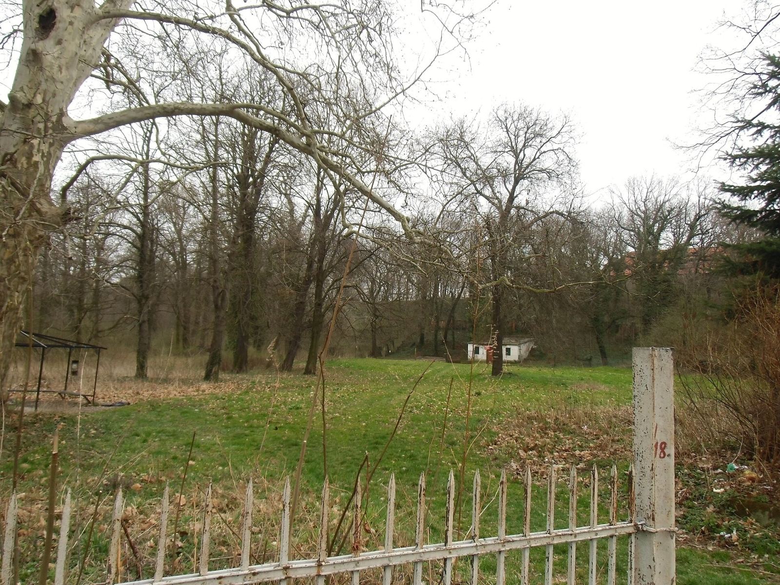 Park, Snowidza