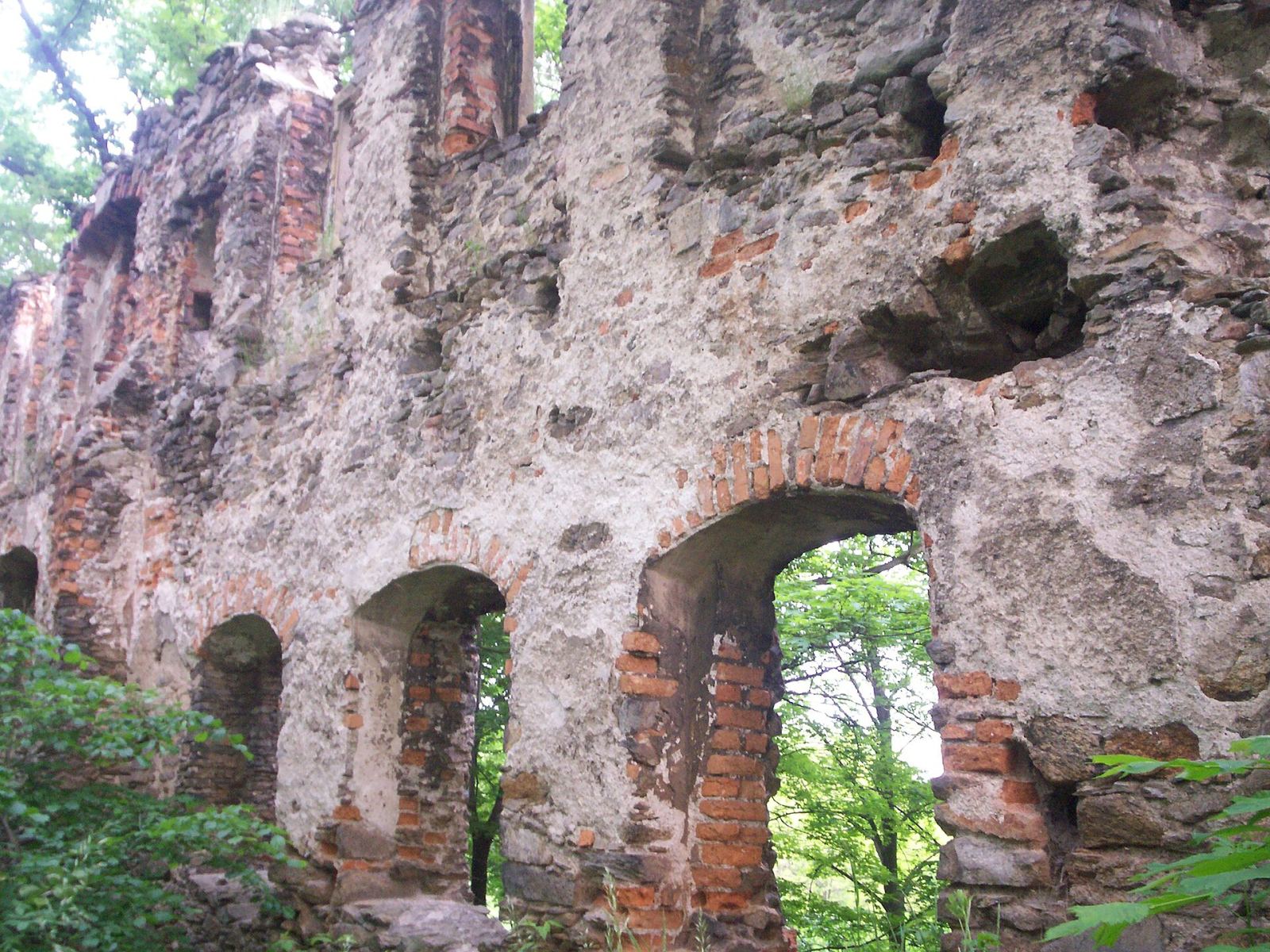 Ruiny zamku, Rybnica