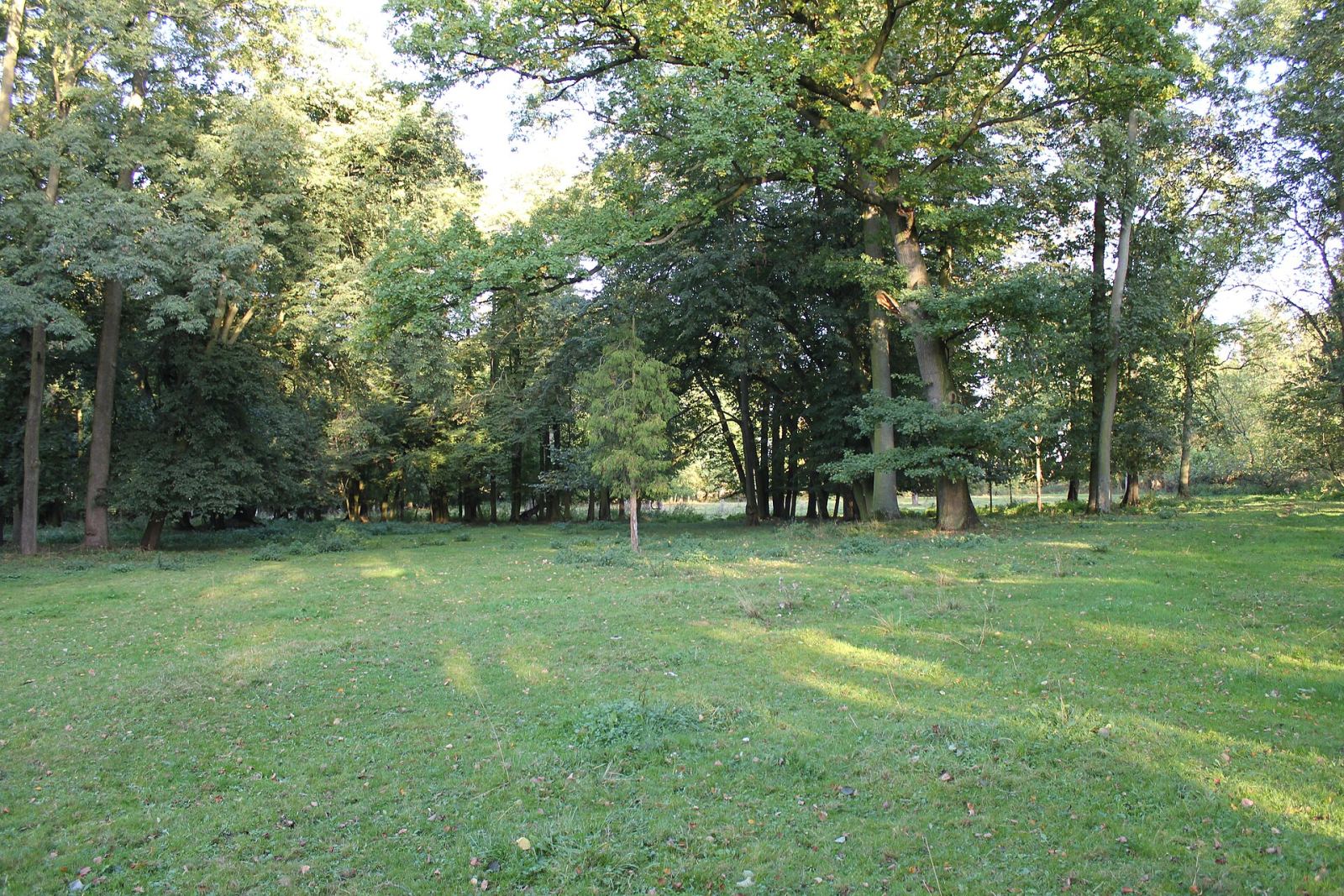 Park, Dębe Małe