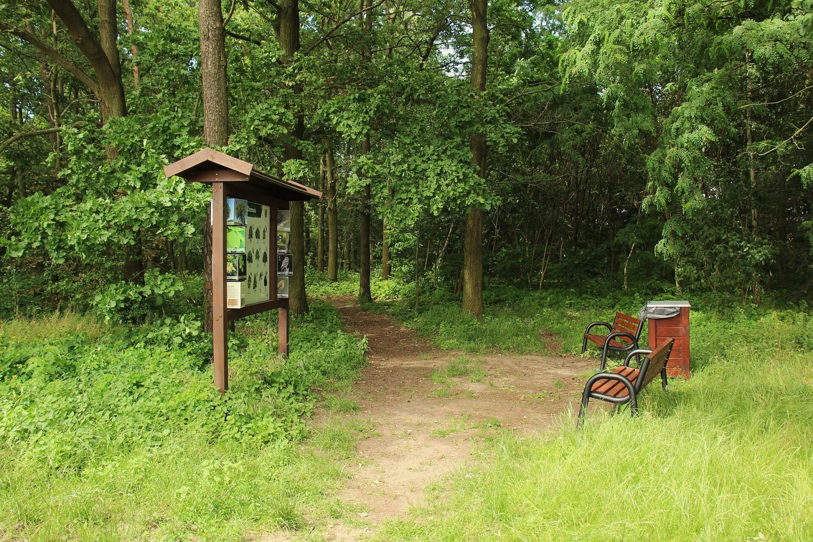 Park, Dopiewo