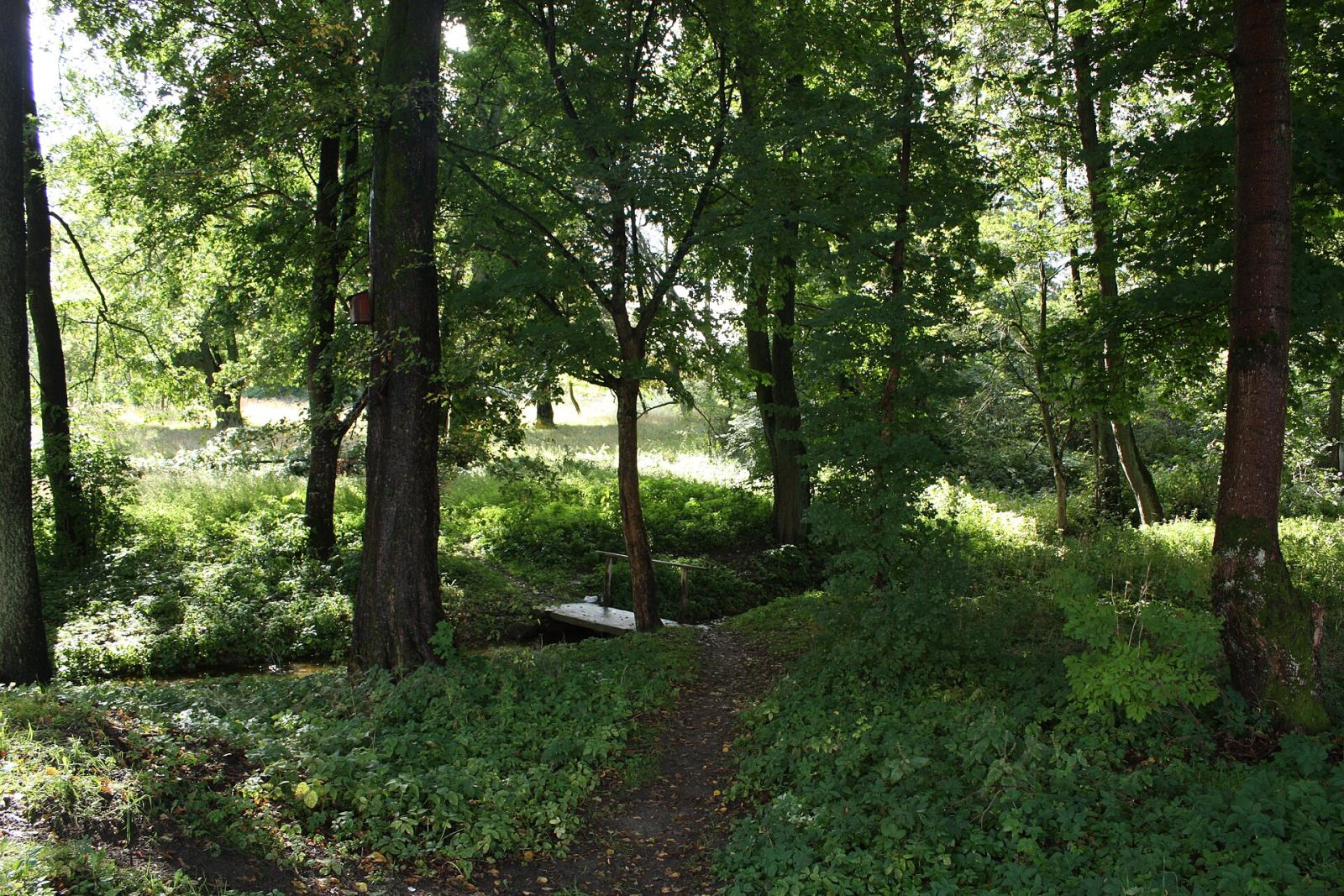 Park pałacowy, Kościernica