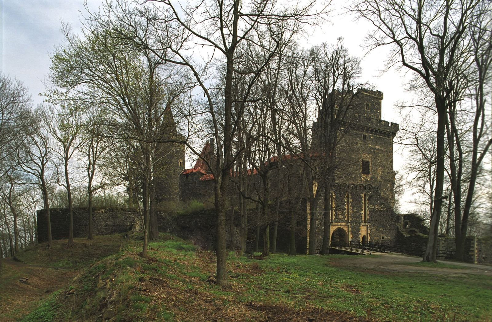 Zamek, Grodziec