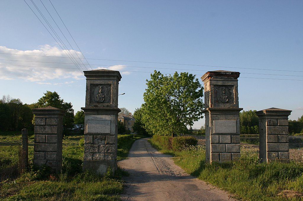 Park dworski, Stawiski