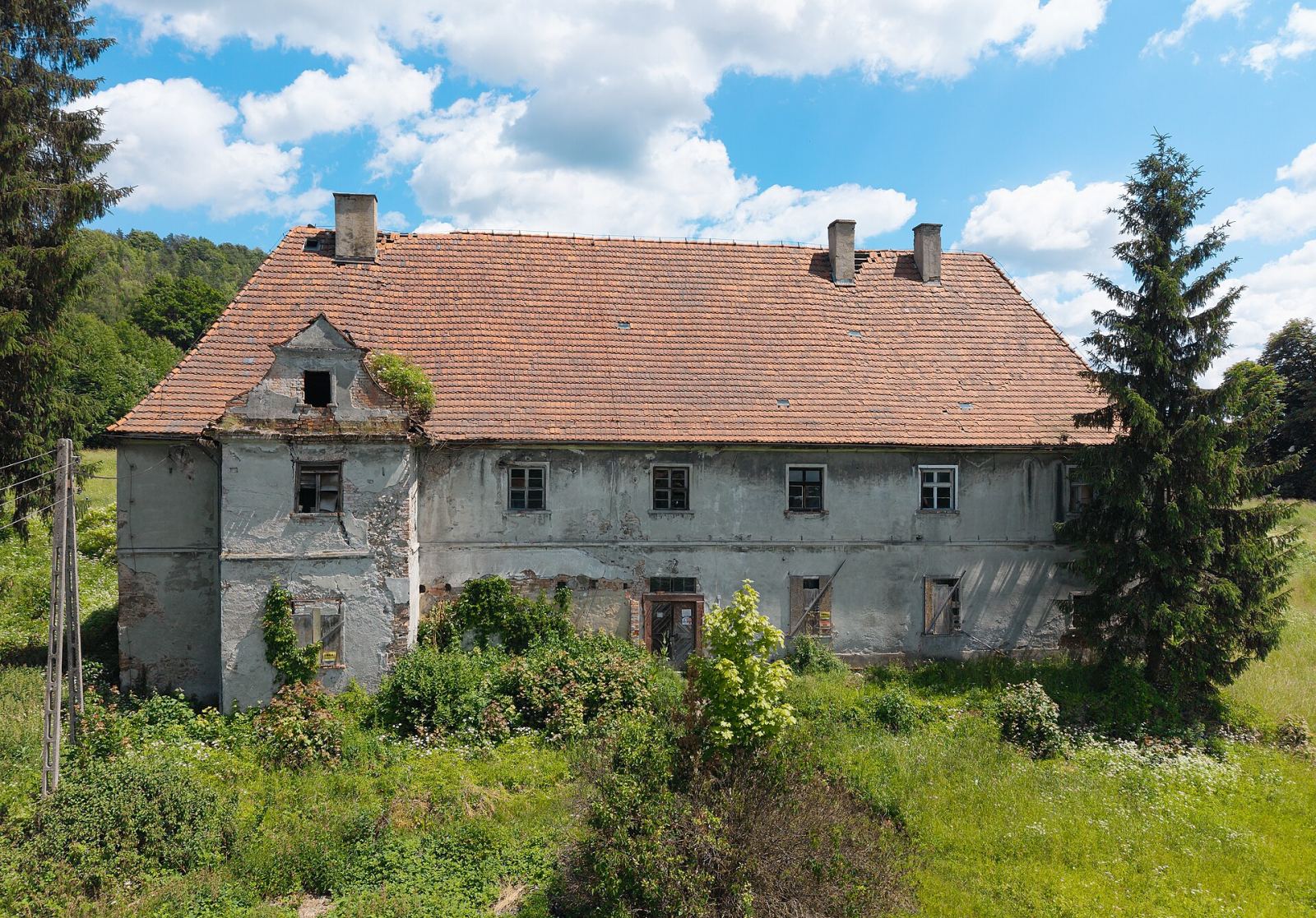Dwór, Dzikowiec