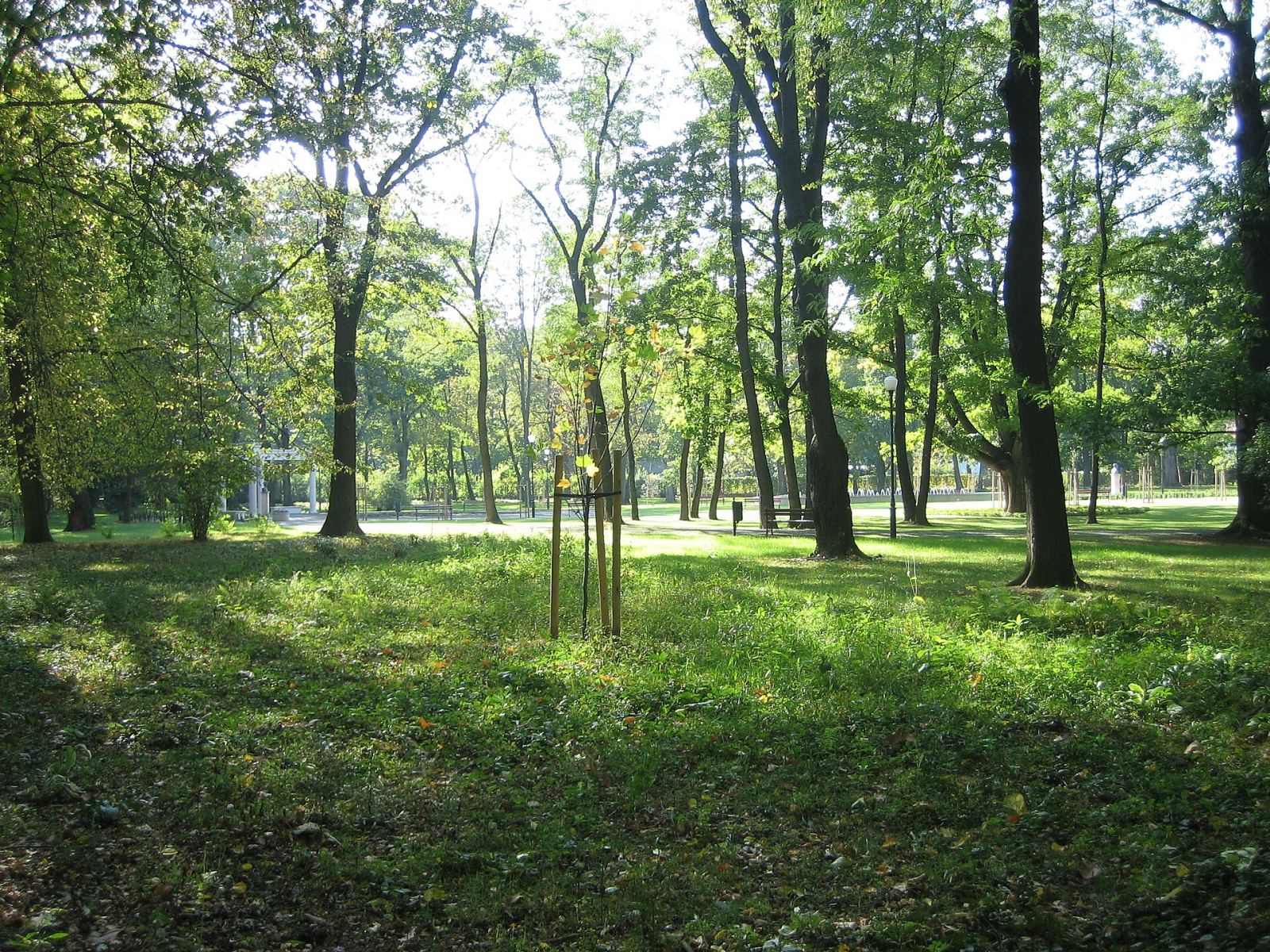 Park, Tarnów