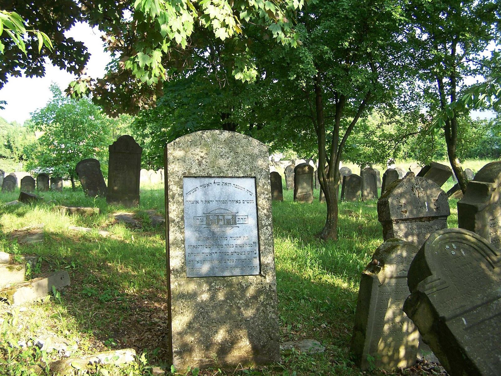 Cmentarz żydowski, Krosno