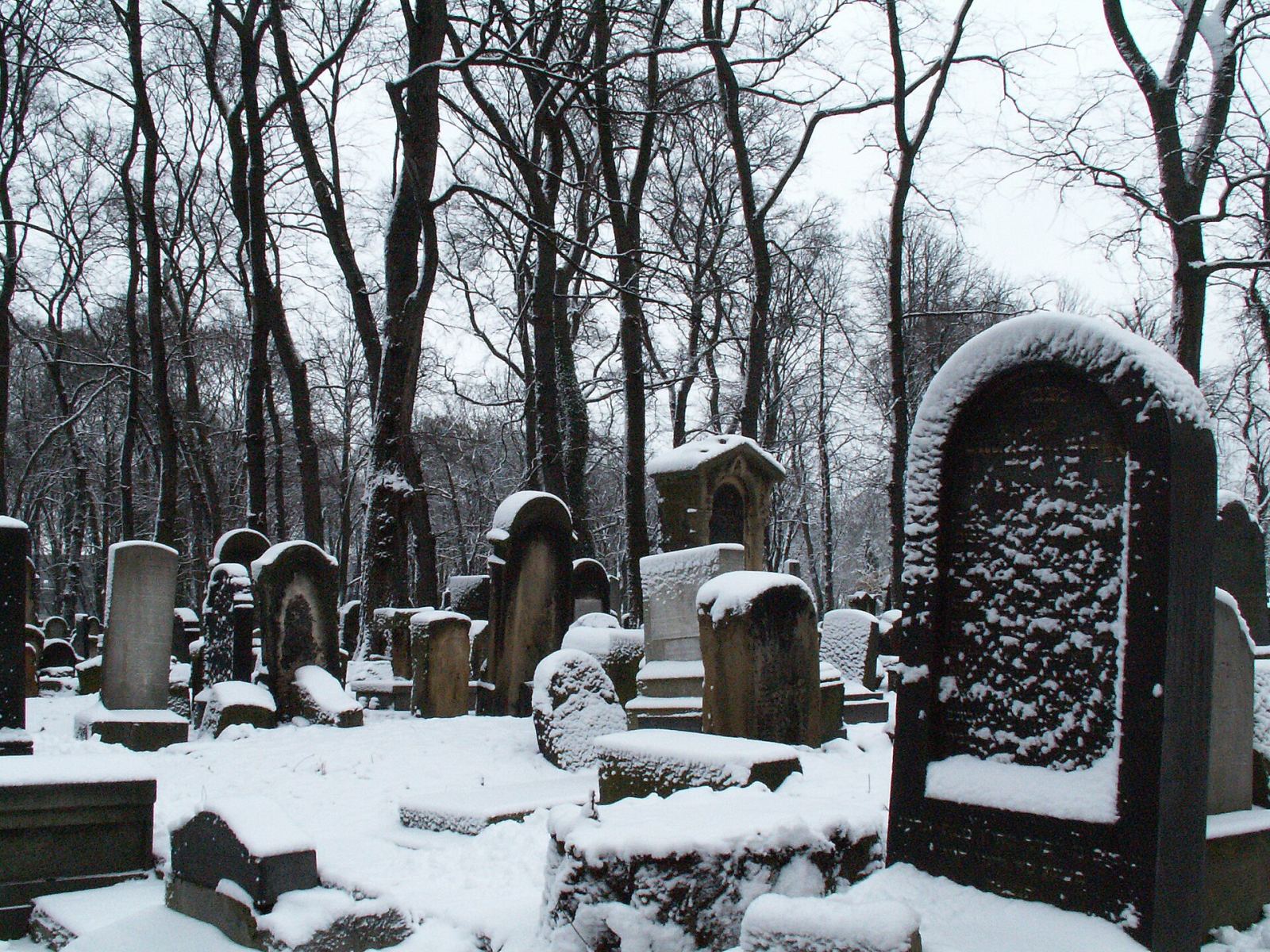 Cmentarz żydowski, Kraków