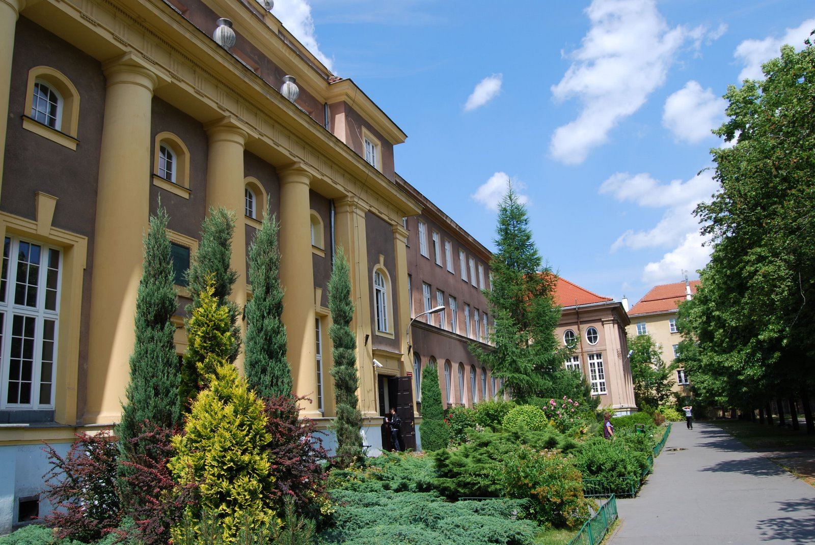 Szkoła, Warszawa