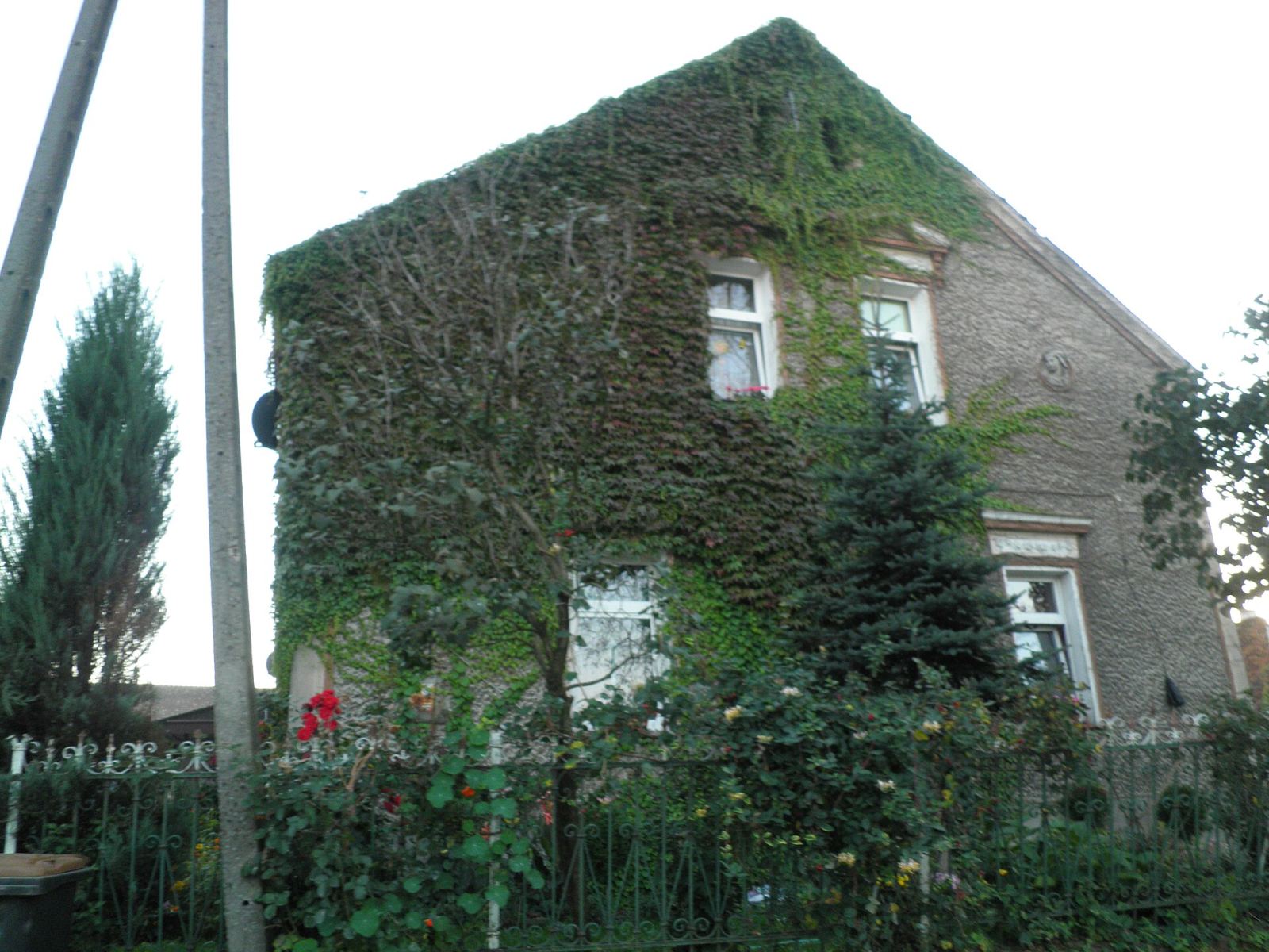 Dom, Pogorzela