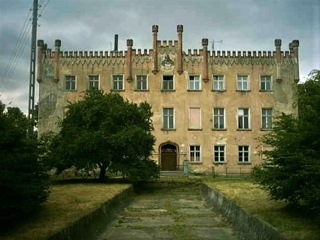 Pałac, Górzyn