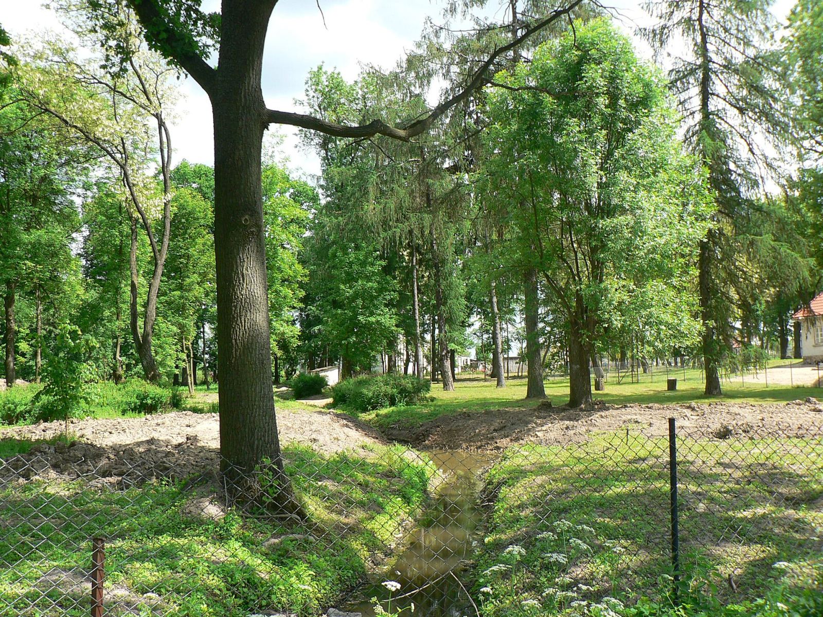 Park, Dąbrowa