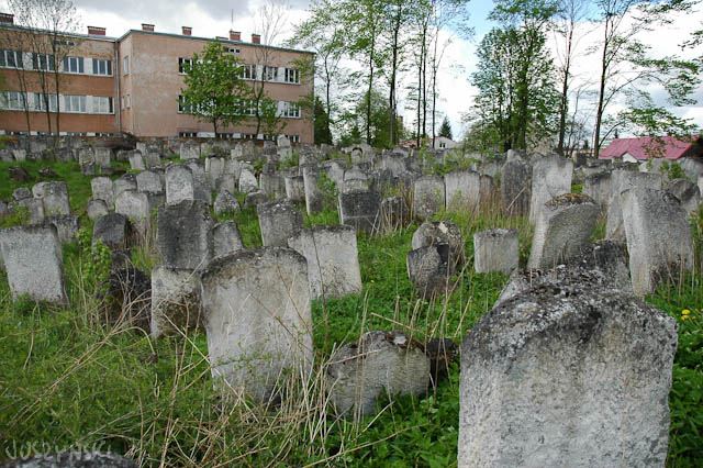 Cmentarz żydowski, Lubaczów